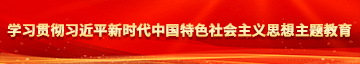 老汉屌捅入小姑娘屄伎，学习贯彻习近平新时代中国特色社会主义思想主题教育